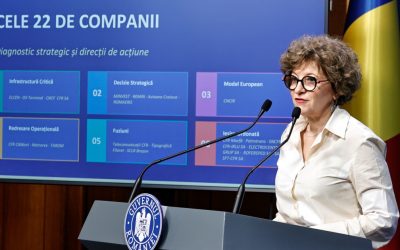 Oana Gheorghiu, acuzații grave: Conductă furată, statul plătește mii de euro