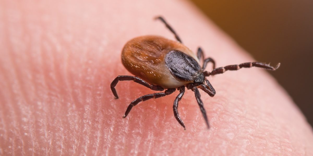 Noua-arma-impotriva-capuselor-Ce-au-descoperit-oamenii-de-stiinta-francezi.jpg - JurnalUrban