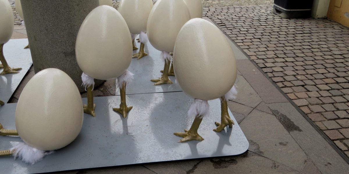 Oua-gigantice-cu-picioare-Timisoara.jpg - JurnalUrban