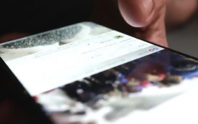 Comisia Europeană, aplicație anti-pornografie pentru minori pe internet