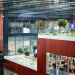 P. MORRIS: „Schimbarea în mișcare” pentru 2025. Cum vrea să arate viitorul?