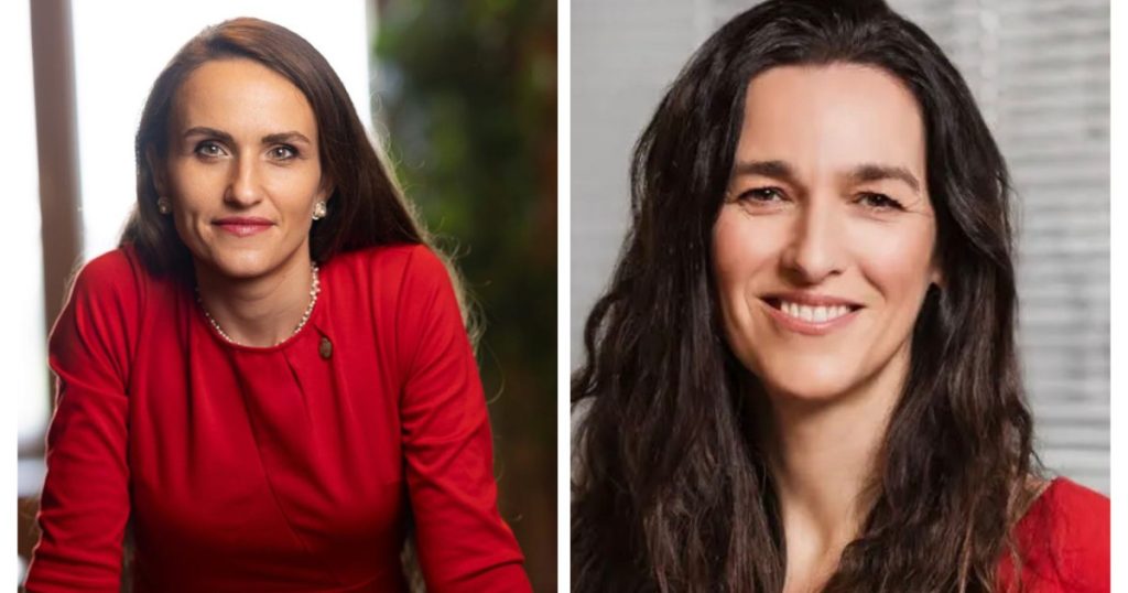 Oana Țoiu, dialog cu noul ministru ungar: Schimbare de abordare în politica externă?