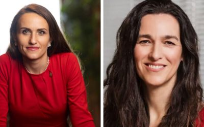 Oana Țoiu, dialog cu noul ministru ungar: Schimbare de abordare în politica externă?