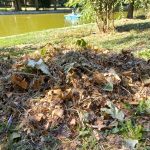 Parcul-Cismigiu-7.jpeg - JurnalUrban