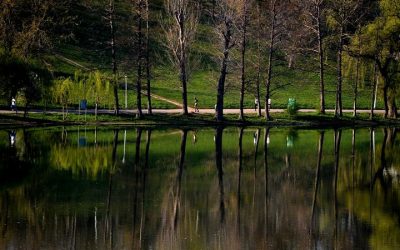 Parcul Tineretului, VERDE în Capitală: Prima grădină de ploaie din București