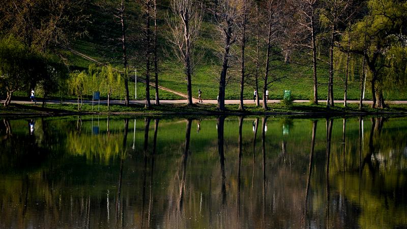 Parcul Tineretului, VERDE în Capitală: Prima grădină de ploaie din București