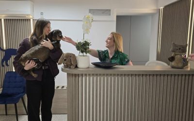 PartnerVet deschide prima clinică în București sub brand propriu