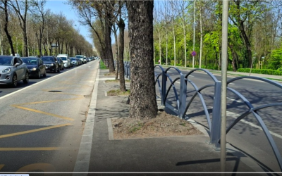 Benzile unice pentru autobuze: Schimbări majore pe Bulevardul Regele Mihai I din București