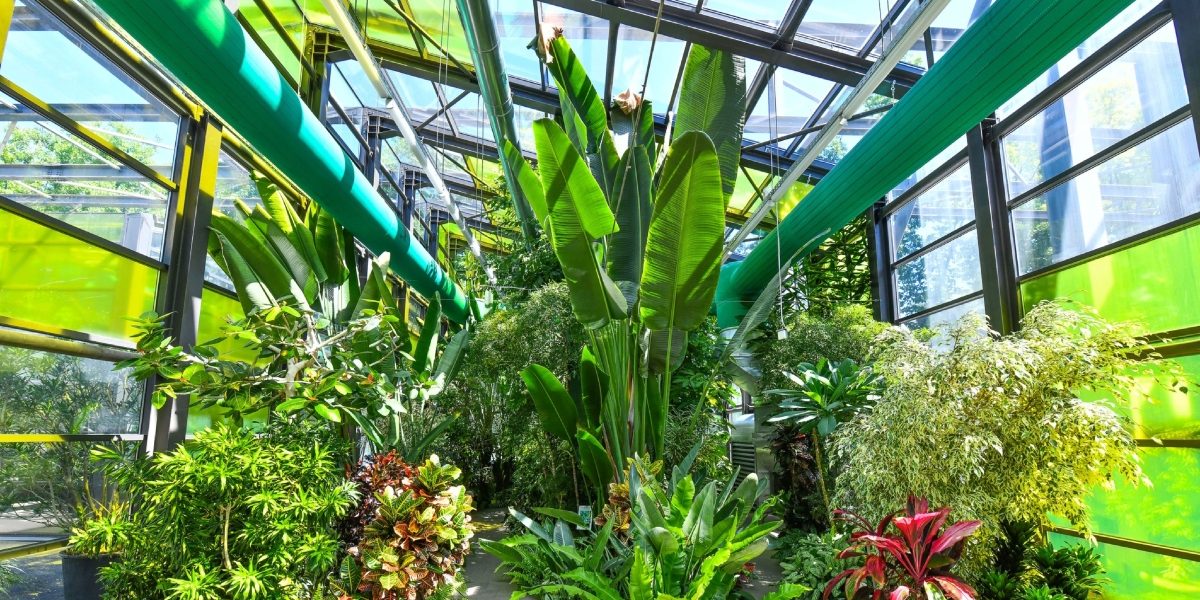 Program de Paște la Serele Exotice din Parcul Drumul Taberei în București