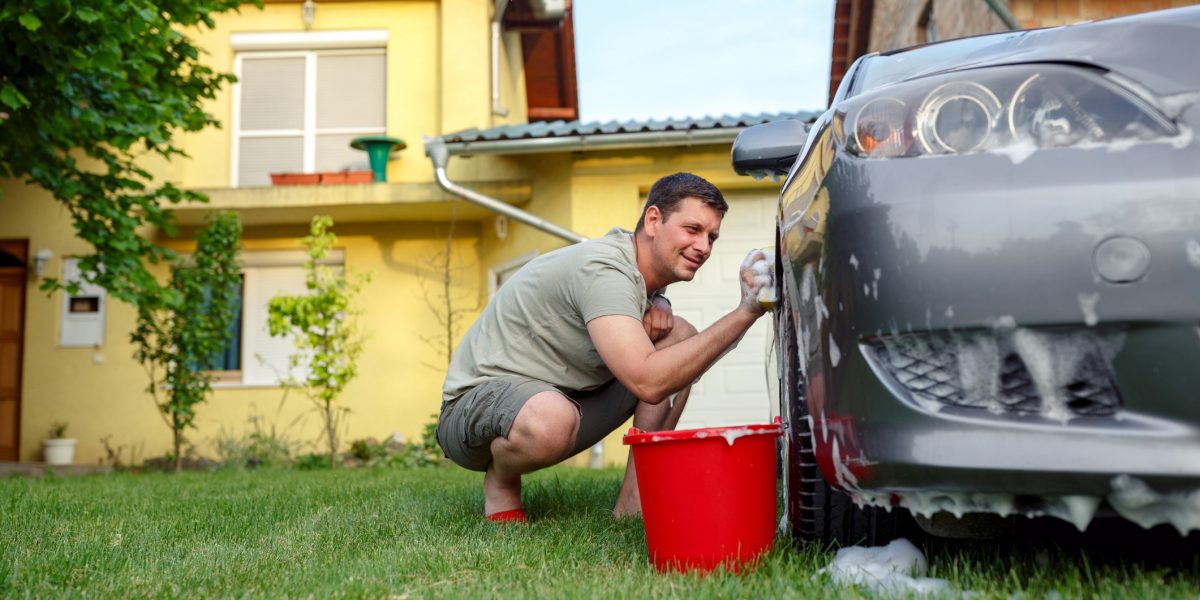 Amenzi-record de 4.000 lei pentru românii cu curți. Ce interdicții au?