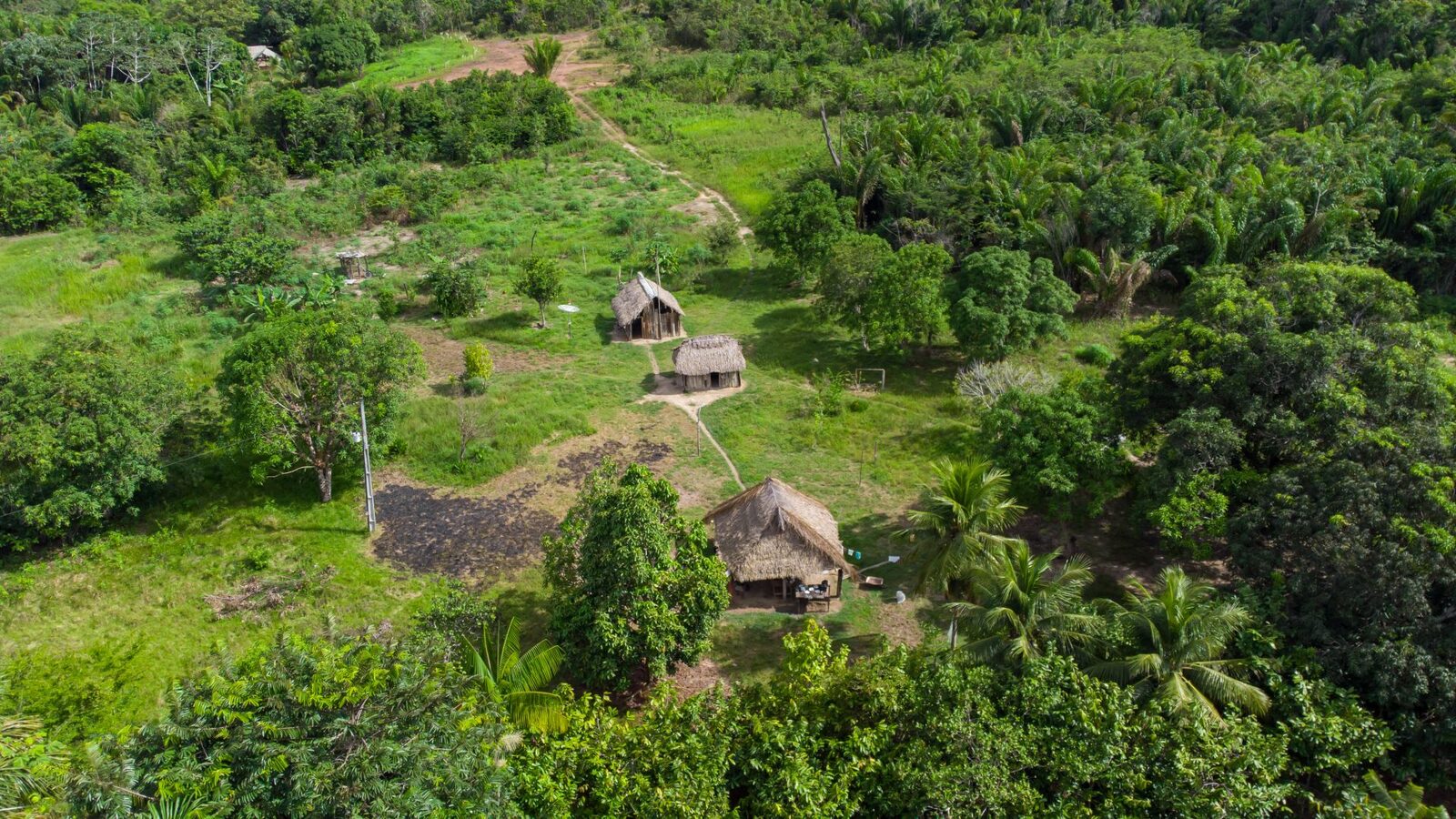 Drumuri antice, vechi de 2.700 de ani, dezvăluite în inima Amazonului