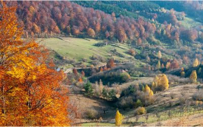 Geoparcuri UNESCO: Guvernul simplifică accesul, veste bună pentru România