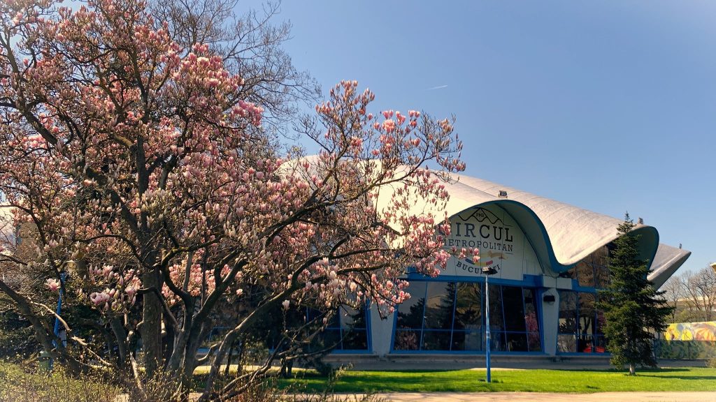 Adopții la Circul Metropolitan: București găzduiește două târguri în aprilie, cu activități pentru copii