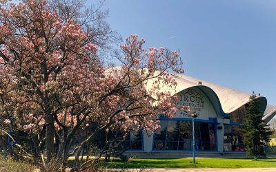 Adopții la Circul Metropolitan: București găzduiește două târguri în aprilie, cu activități pentru copii