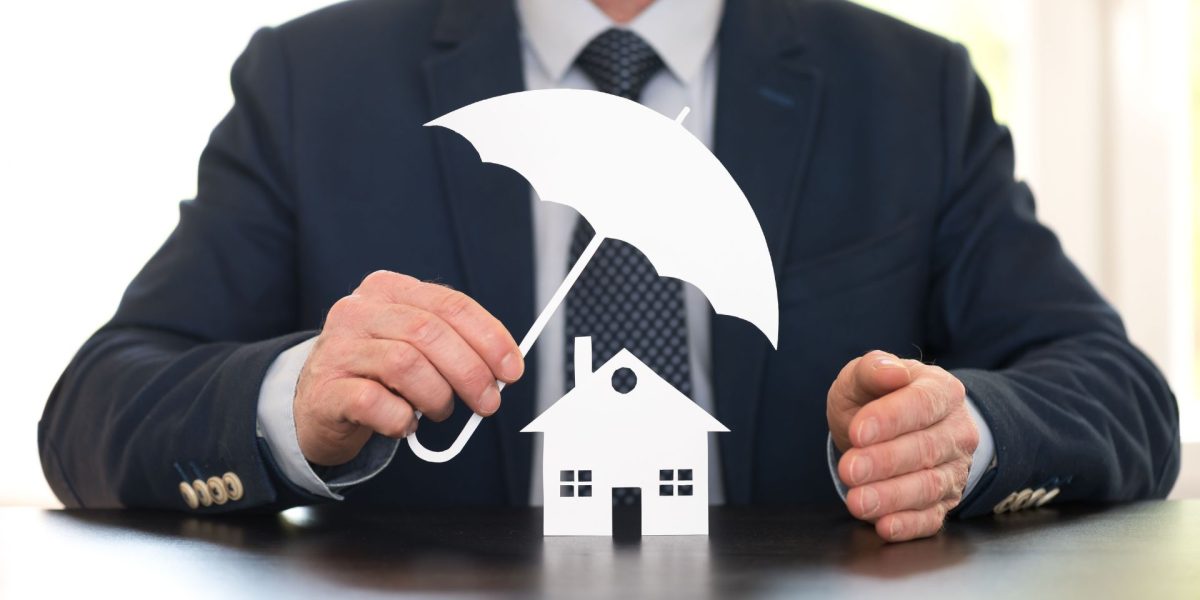 Ce opțiuni ai în 2026? Prețurile de azi, impactul în Donald Trump și Europa