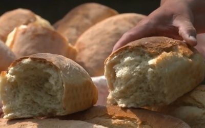 Banatul, regiune gastronomică EUROPEANĂ din 2028: Victorie pentru România