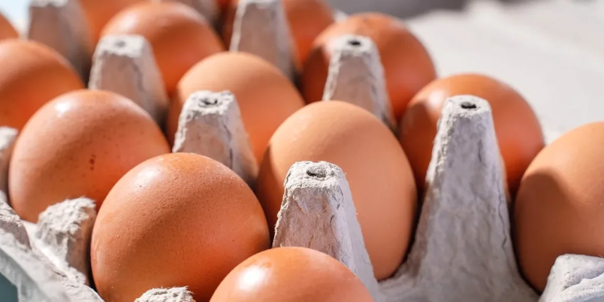 Unde-gasesti-cele-mai-ieftine-oua-inainte-de-Paste-2026.webp.webp - JurnalUrban