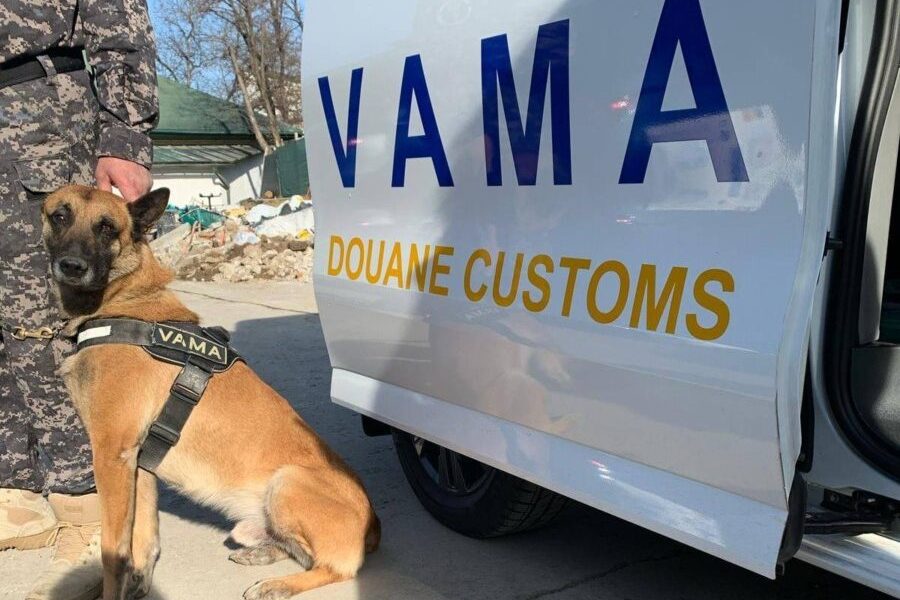 Vama-vames-autoritatea-vamala-romana-caine-e1759302289804.jpg - JurnalUrban