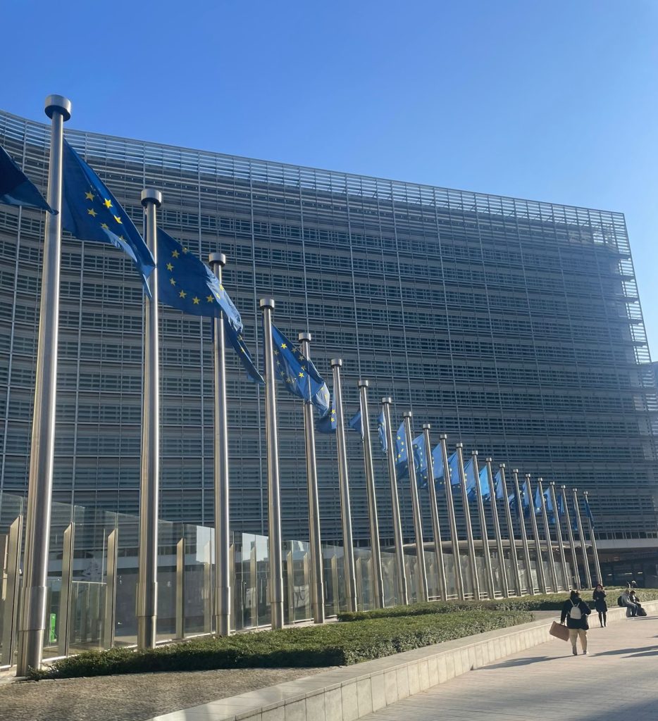 CE cere Comisia Europeană de la Google: Reguli drastice pentru date