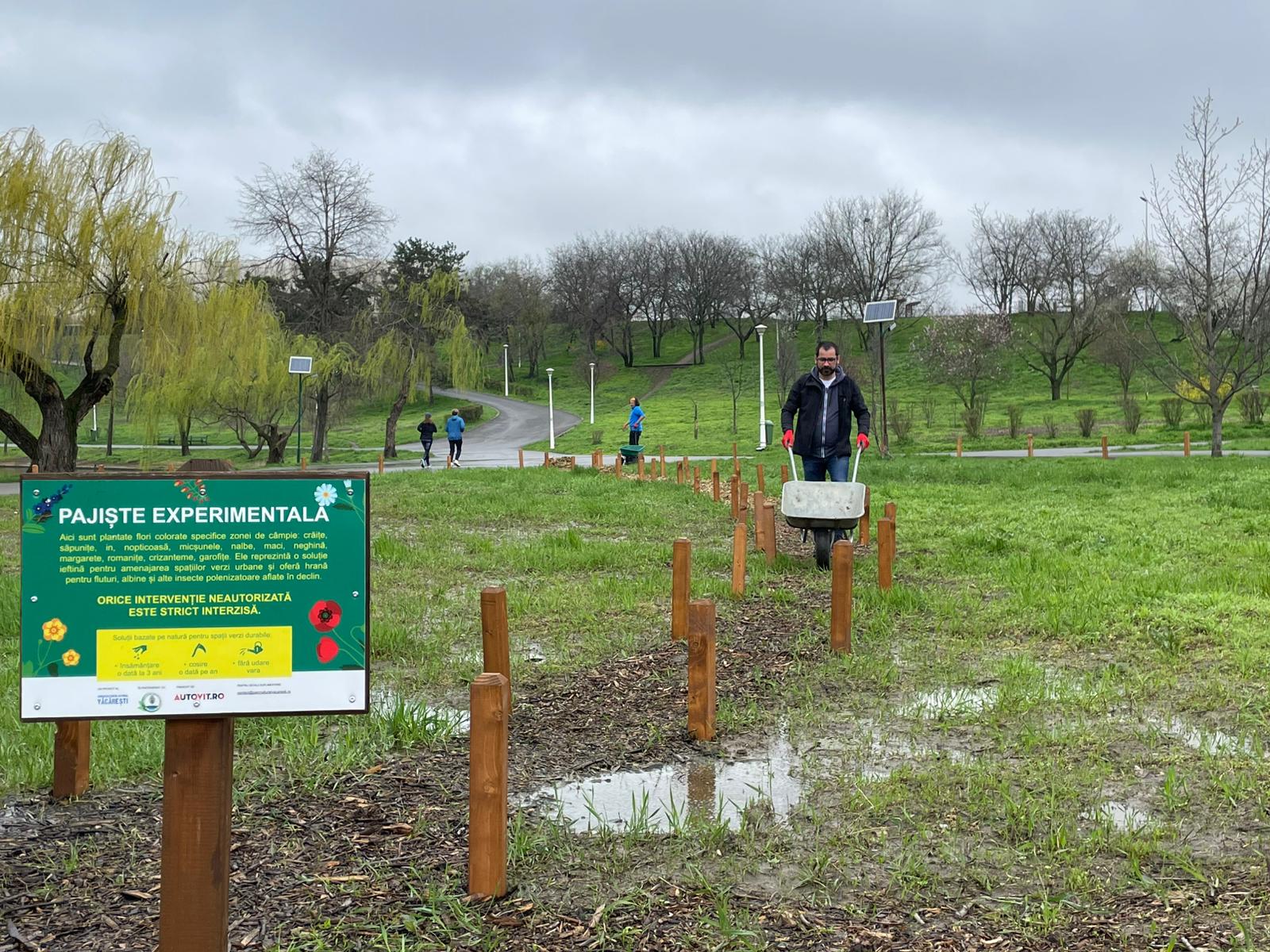 În Parcul Tineretului, voluntari și membri ai Asociației Parcul Natural București îngrijesc pajiștile urbane, o inițiativă ce își propune să aducă beneficii locuitorilor și faunei parcului