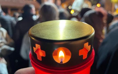 Înviere cu drujbă: Biserica de lemn și pădurea ucisă de lângă București