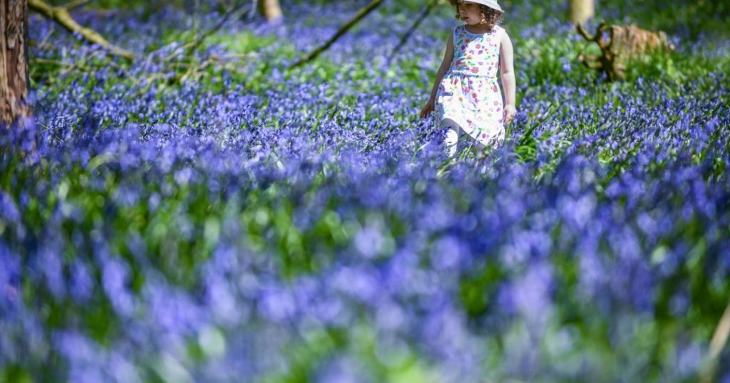 Meteo: Românii scapă de frig! Vreme neașteptat de caldă în următoarele patru săptămâni