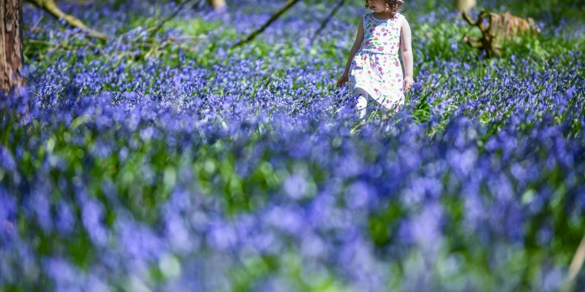 Meteo: Românii scapă de frig! Vreme neașteptat de caldă în următoarele patru săptămâni