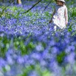 Meteo: Românii scapă de frig! Vreme neașteptat de caldă în următoarele patru săptămâni