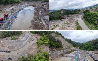 SALROM dă vina pe castori la Praid, ministrul acuză: „Neasumare”