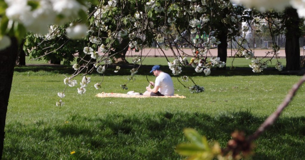 Meteorologii anunță: Cum va fi VREMEA de 1 Mai și în următoarele săptămâni