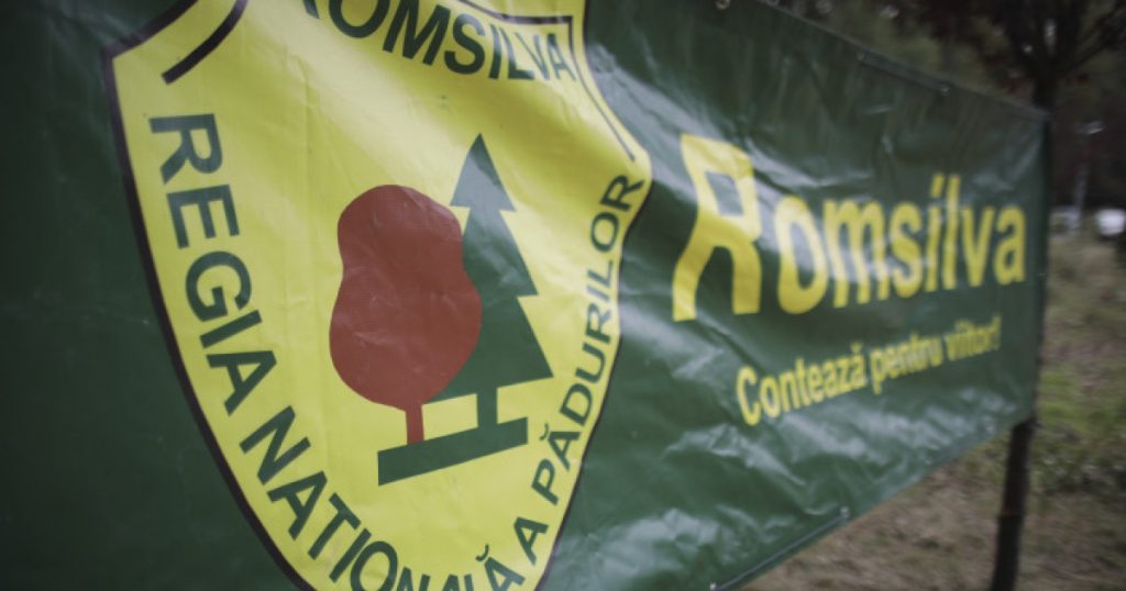 Sindicaliștii Romsilva atacă în instanță reorganizarea regiei pădurilor