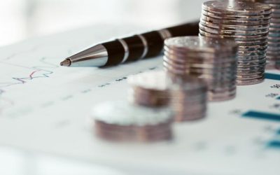 Criză politică: Păun avertizează. Haosul economic, aproape