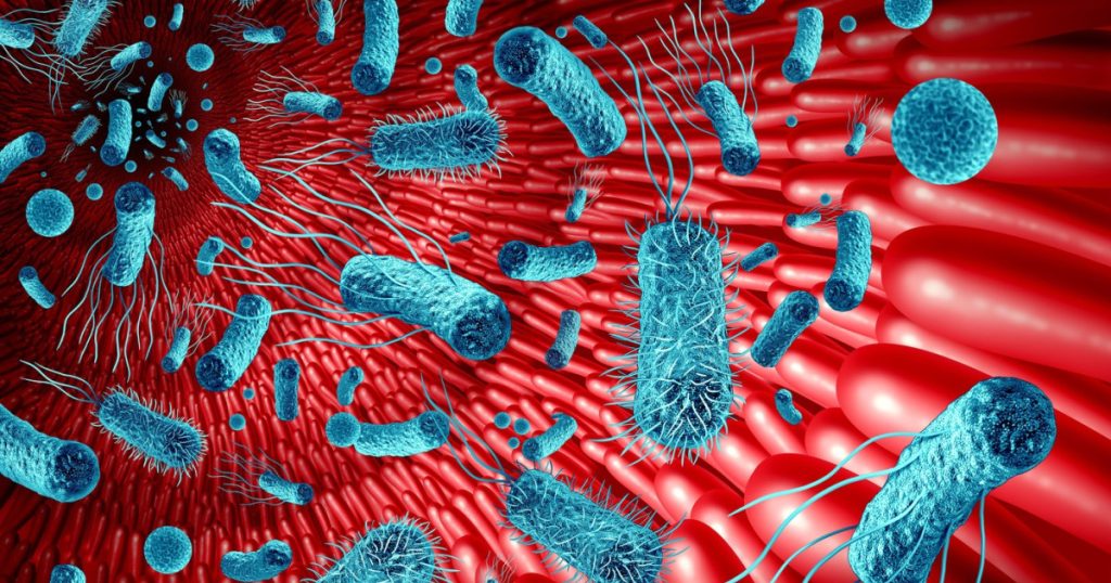 Intestinul, „al doilea creier”: Cum afectează microbiomul memoria și sănătatea