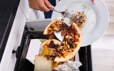 România, groapa de gunoi a alimentelor: 3,4 milioane tone risipite anual