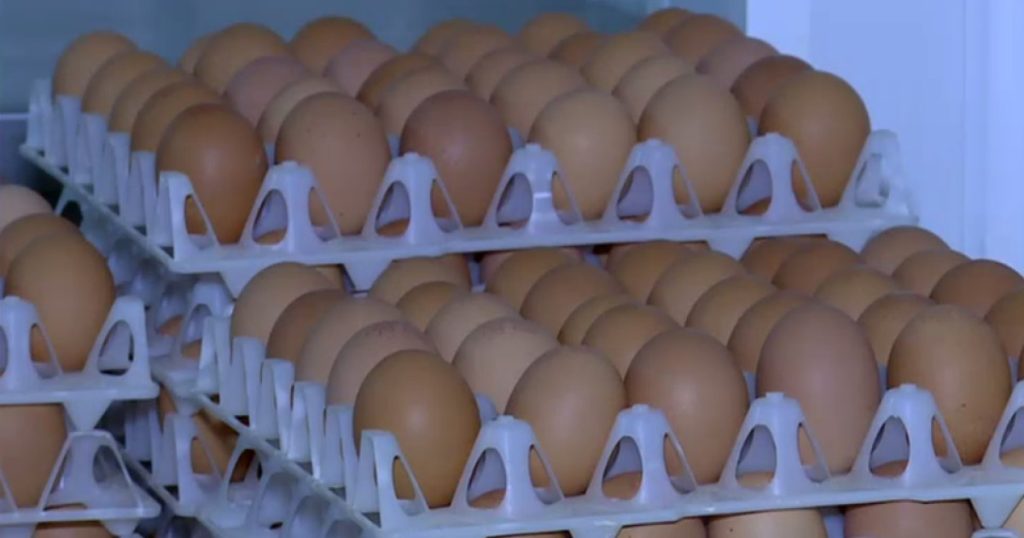 Ouă cu Salmonella retrase în Ajun: 1,5 milioane de bucăți contaminate