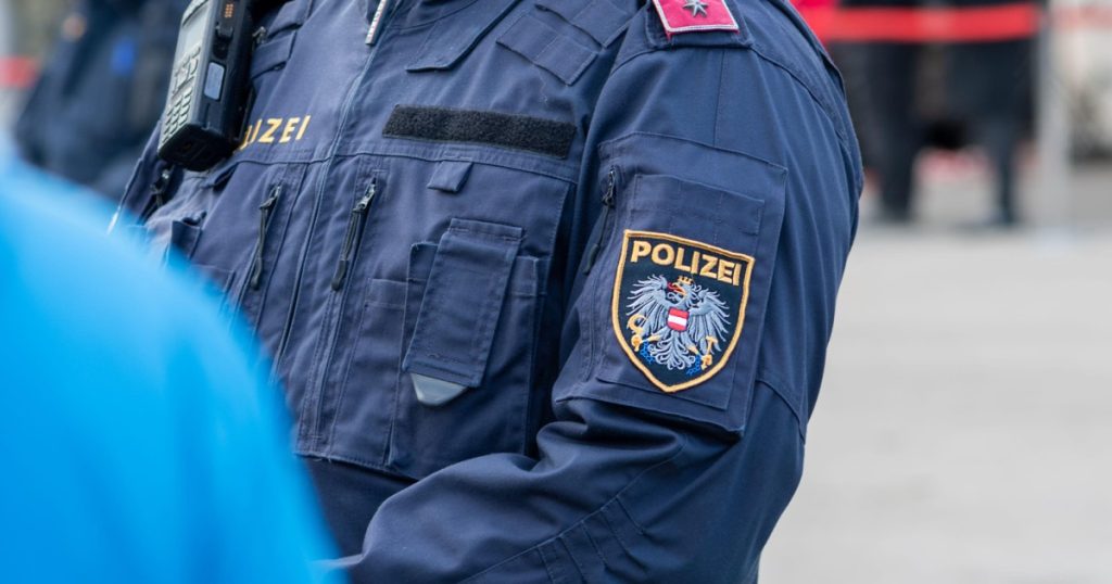 Viena: O bandă de escroci români, reținuți de Poliție