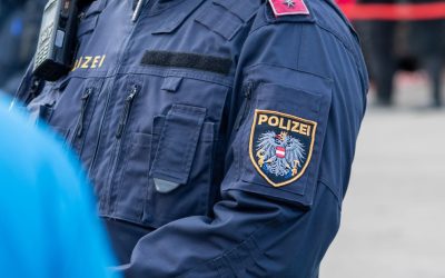 Viena: O bandă de escroci români, reținuți de Poliție