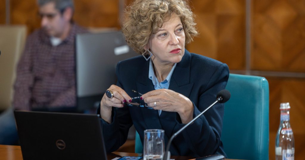 PSD acuză: Guvernul vrea vânzarea „caselor”. Gheorghiu: Listarea aduce bani