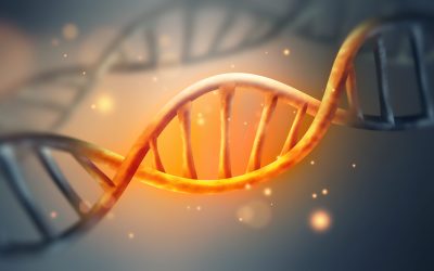 Unde se ascund secretele codului genetic: Un nou mister?