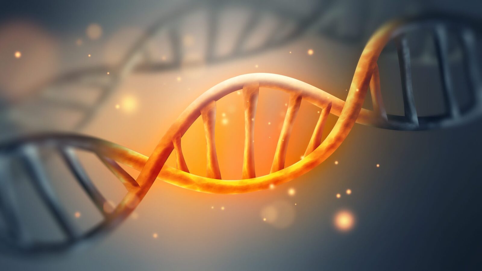 Unde se ascund secretele codului genetic: Un nou mister?
