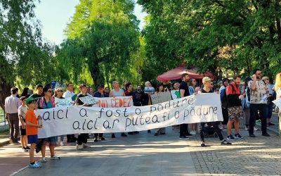 De ce au reușit grupurile civice: Lecții din cinci cartiere ale Bucureștiului