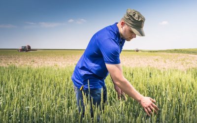 Criză uriașă în agricultura: Fermierii cer ajutor URGENT de la Bruxelles