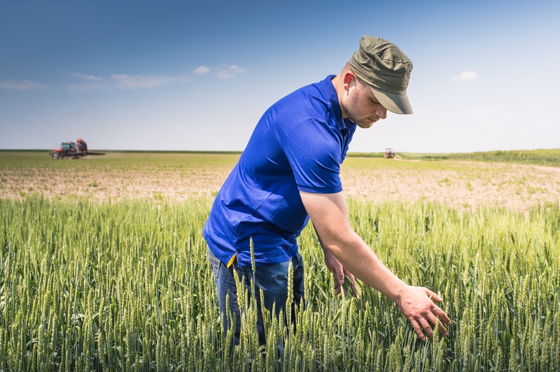 Criză uriașă în agricultura: Fermierii cer ajutor URGENT de la Bruxelles