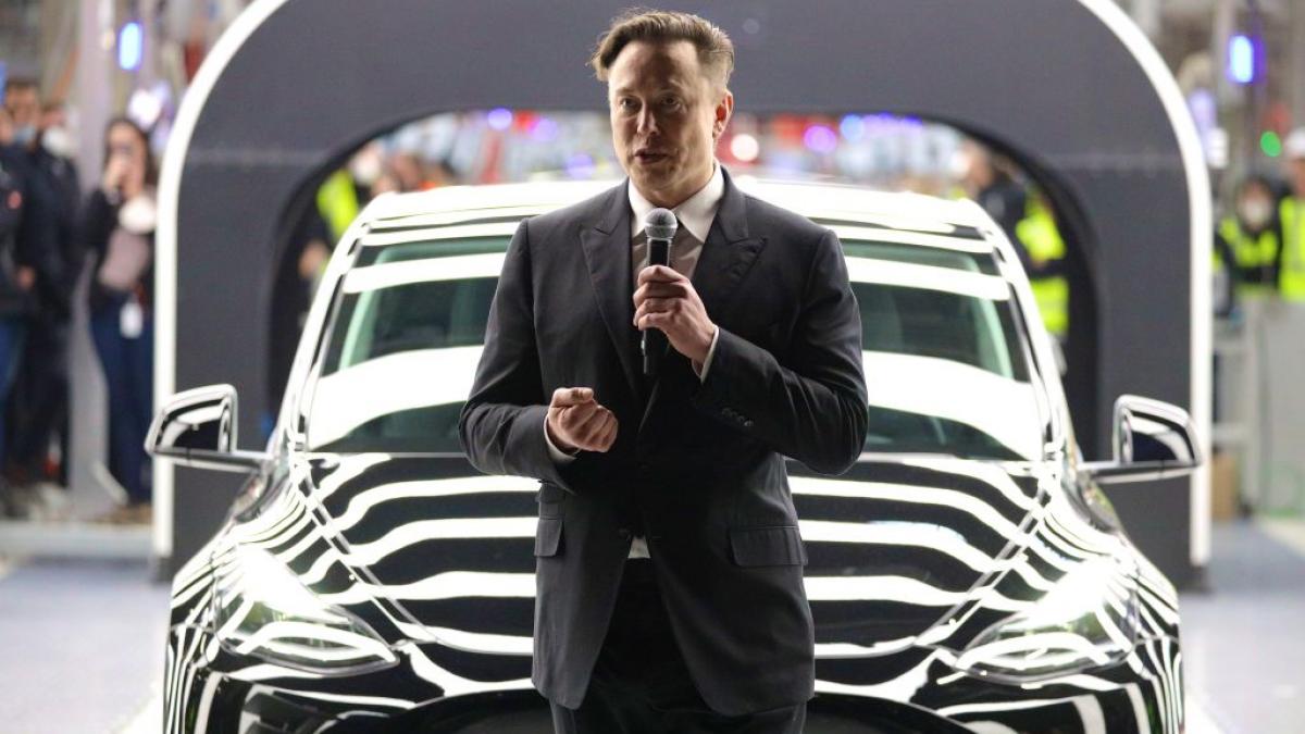 O prăbușire spectaculoasă? Acțiunile TESLA ar putea pierde 60% din valoare până în 2026, avertizează experții Bucurie de scurtă durată pentru investitorii în producătorul de automobile electrice TESLA