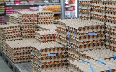 Alertă de Paște: 1,5 milioane de ouă cu Salmonella, retrase la Vaslui