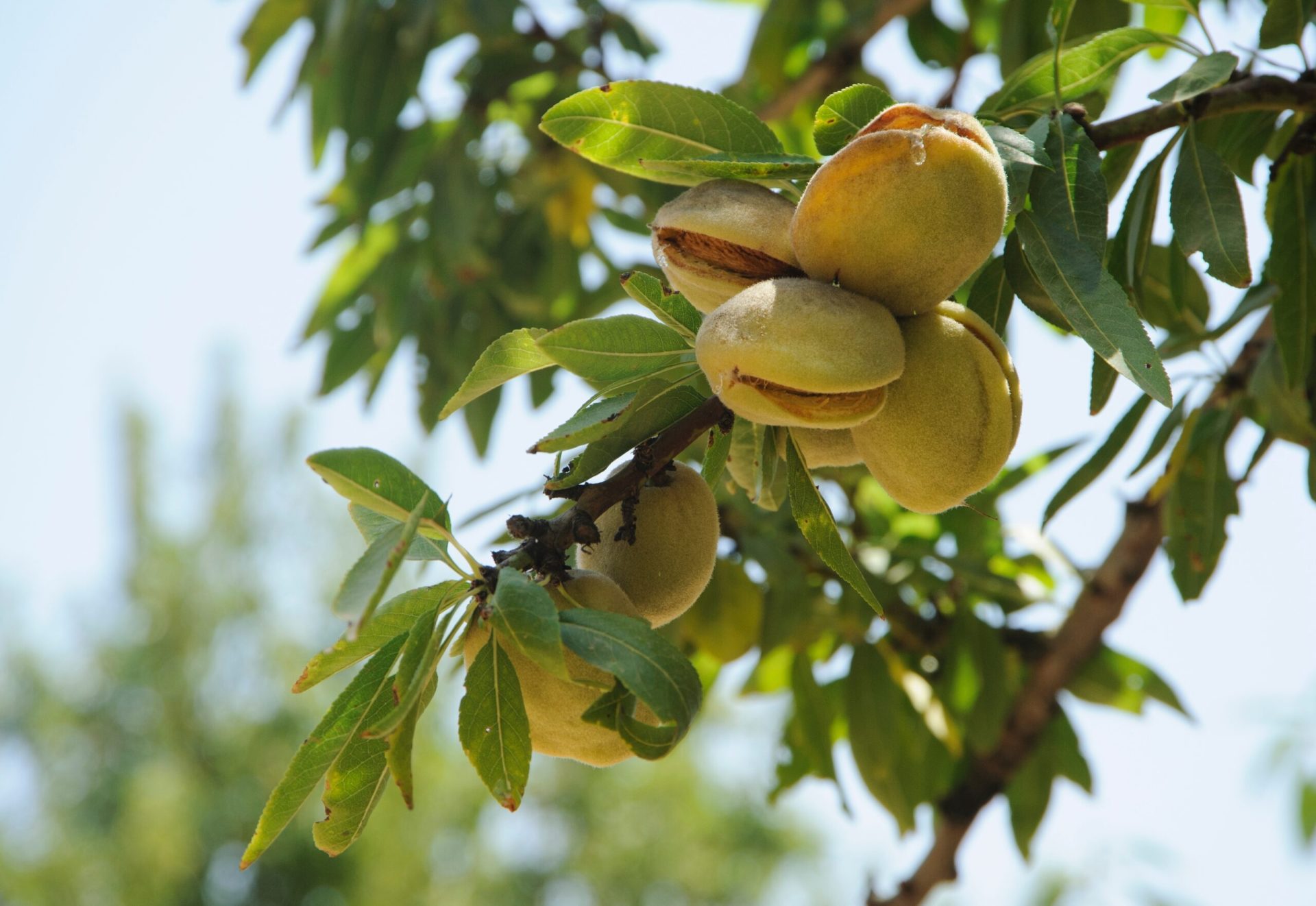 Opțiunile alimentare sunt mai variate ca niciodată, iar alegerea celor mai nutritive alimente poate deveni o adevărată provocare