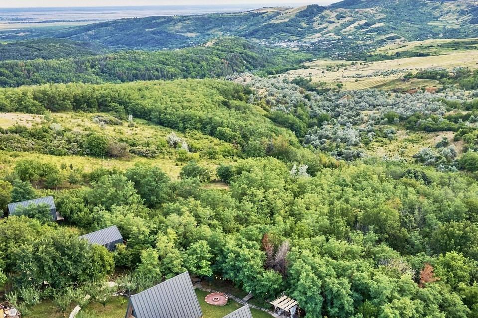 Arta Chalet: O oază de lux din Dealu Mare dezvăluie secretele sale