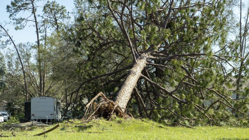 Alertă ANM: Cod galben de vânt puternic, rafale de 90 km/h în România