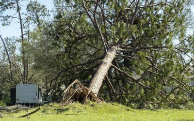 Alertă ANM: Cod galben de vânt puternic, rafale de 90 km/h în România