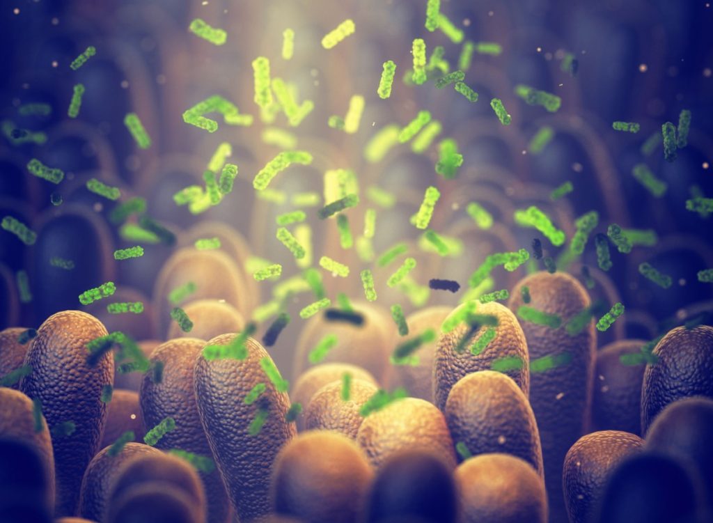 Bacterie-Ucigaș: Cercetătorii au creat arma secretă anti-cancer